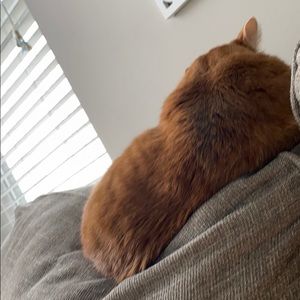 Meet your Posher, Brett